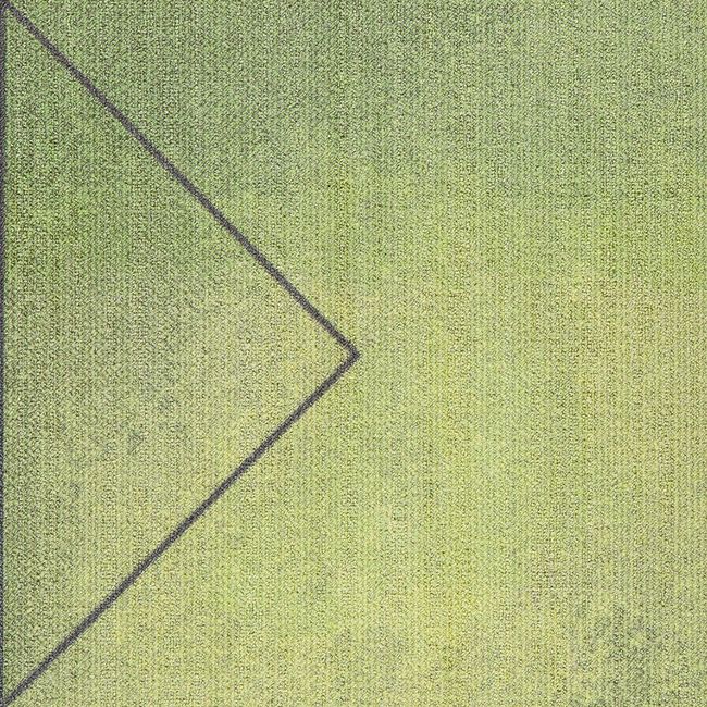 Килимова плитка Milliken Clerkenwell Triangular Path, Артикул - TGP118-103-141